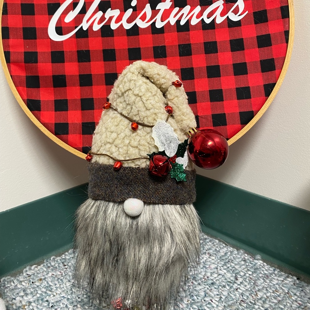 Gnomes for Kate
